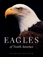 Eagles of North America
