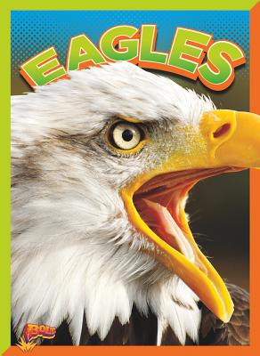 Eagles - Terp, Gail