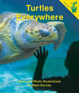Early Reader: Turtles Everywhere