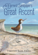 Earnest Sandpiper's Great Ascent