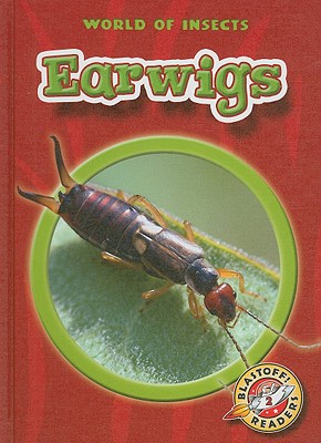 Earwigs - Sexton, Colleen