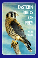 Eastern Birds of Prey