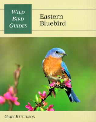 Eastern Bluebird - Ritchison, Gary