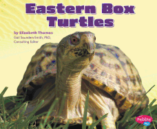 Eastern Box Turtles