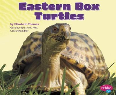 Eastern Box Turtles - Thomas, Elizabeth