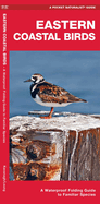 Eastern Coastal Birds: A Waterproof Folding Guide to Familiar Species