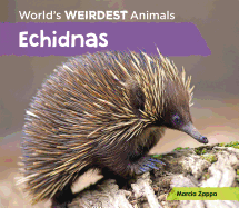 Echidnas