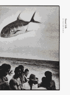 Ed Van Der Elsken - Sweet Life. Books on Books 13