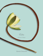 Eden: Summer Collages