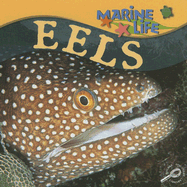 Eels - Stone, Lynn M