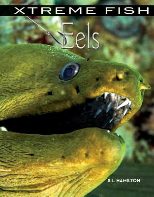 Eels - Hamilton, S L