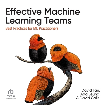 Effective Machine Learning Teams: Best Practices for ML Practitioners - Leung, Ada, and Colls, David, and Tan, David