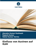Einfluss von Auxinen auf Kohl