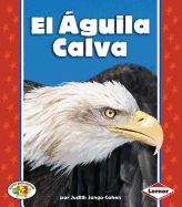 El �guila Calva (the Bald Eagle)