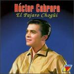 El  Pajaro Chogui