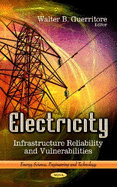 Electricity: Infrastructure Reliability and Vulnerabilities