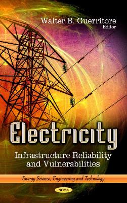 Electricity: Infrastructure Reliability & Vulnerabilities - Guerritore, Walter B (Editor)