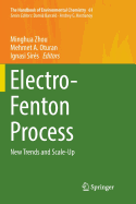 Electro-Fenton Process: New Trends and Scale-Up