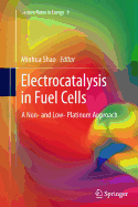 Electrocatalysis in Fuel Cells: A Non- And Low- Platinum Approach