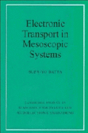 Electronic Transport in Mesoscopic Systems
