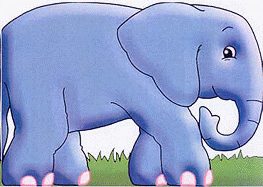 Elephant: Chunky Animals