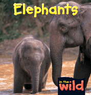 Elephants