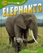 Elephants