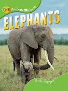 Elephants