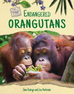 Endangered Orangutans