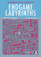 Endgame Labyrinths: Grandmaster Training