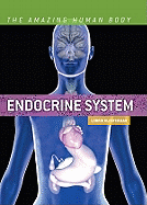 Endocrine System