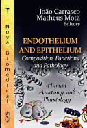 Endothelium and Epithelium