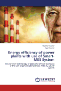 Energy Efficiency of Power Plants with Use of Smart-Mes System
