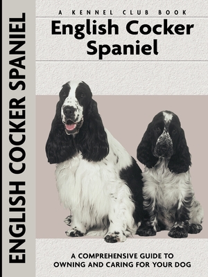 English Cocker Spaniel - Van Wessem, Haja