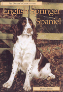 English Springer Spaniel