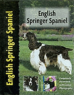 English Springer Spaniel