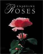Enjoying Roses