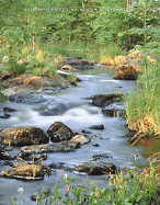 Environmental Science: Working with the Earth (with Infotrac)