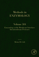 Enzymology at the Membrane Interface: Intramembrane Proteases: Volume 584