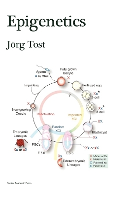 Epigenetics - Tost, Jorg (Editor)