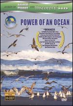 Equator: Power of an Ocean