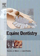 Equine Dentistry