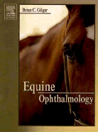 Equine Ophthalmology