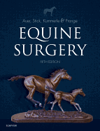 Equine Surgery