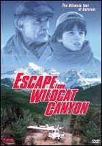 Escape from Wildcat Canyon