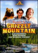 Escape to Grizzly Mountain