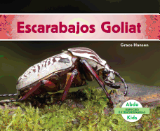 Escarabajos Goliat (Goliath Beetles)