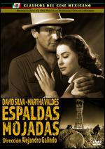 Espaldas Mojadas