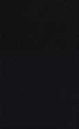 Essays on Game Theory