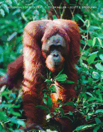 Essentials of Ecology
